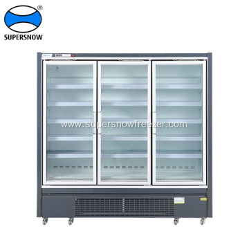 Glass door frozen food display freezer fridge